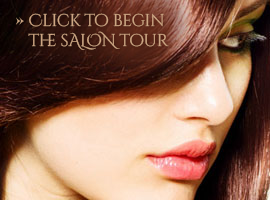 Click to begin the salon tour